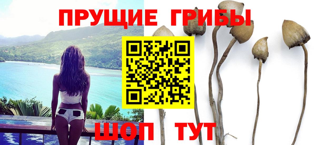 Псилоцибиновые грибы Magic Shrooms  Вход с VPN  Барнаул  Галлюциногенные грибы Magic Shrooms 